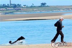 给小宠物照相小技巧