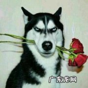 成功人士用的微信头像高清 成功人士用的微信头像