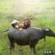 “往上数三代都是农民”的说法，有道理吗？