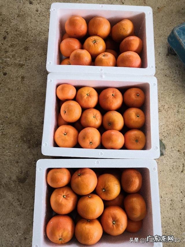 农村怎么把地里的农产品卖出去?