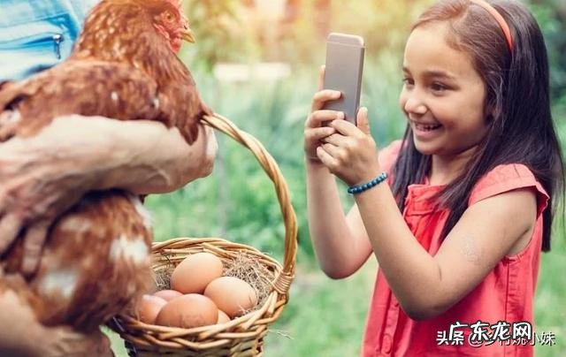 农村怎么把地里的农产品卖出去?