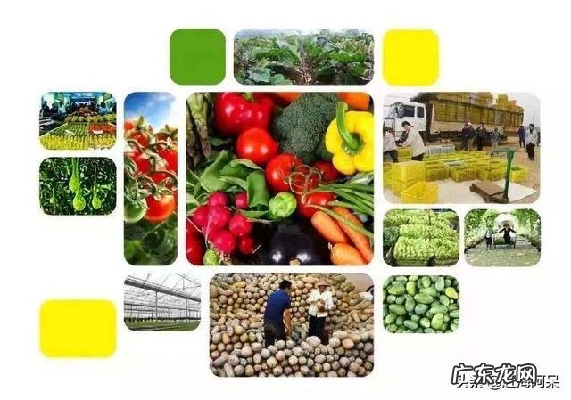 农村怎么把地里的农产品卖出去?