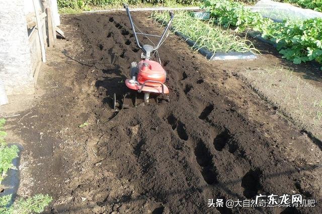 创业投资有机肥厂。有前途吗?