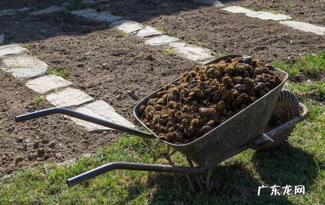 创业投资有机肥厂。有前途吗?