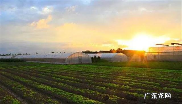 创业投资有机肥厂。有前途吗?