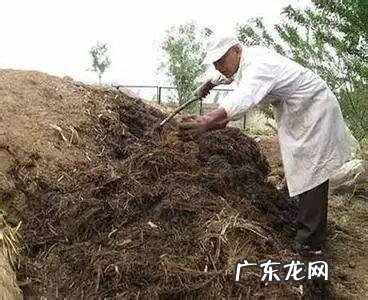 创业投资有机肥厂。有前途吗?