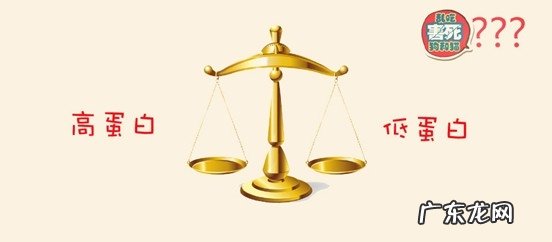 犬粮、幼猫猫粮标识中的蛋白究竟高好還是低好