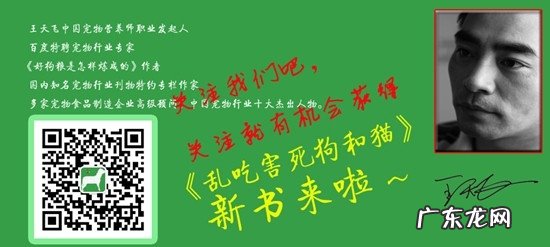犬粮、幼猫猫粮标识中的蛋白究竟高好還是低好
