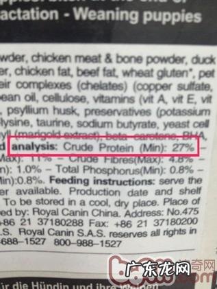 犬粮、幼猫猫粮标识中的蛋白究竟高好還是低好