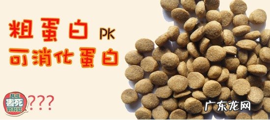 犬粮、幼猫猫粮标识中的蛋白究竟高好還是低好