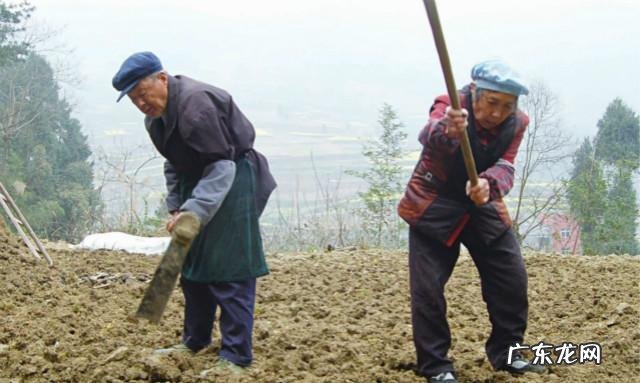 农女种田养娃记? 农村长大的娃们,你会种田插秧吗?