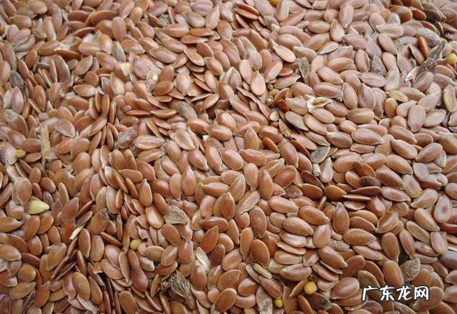 农女种田养娃记? 农村长大的娃们,你会种田插秧吗?