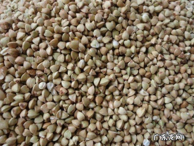 农女种田养娃记? 农村长大的娃们,你会种田插秧吗?