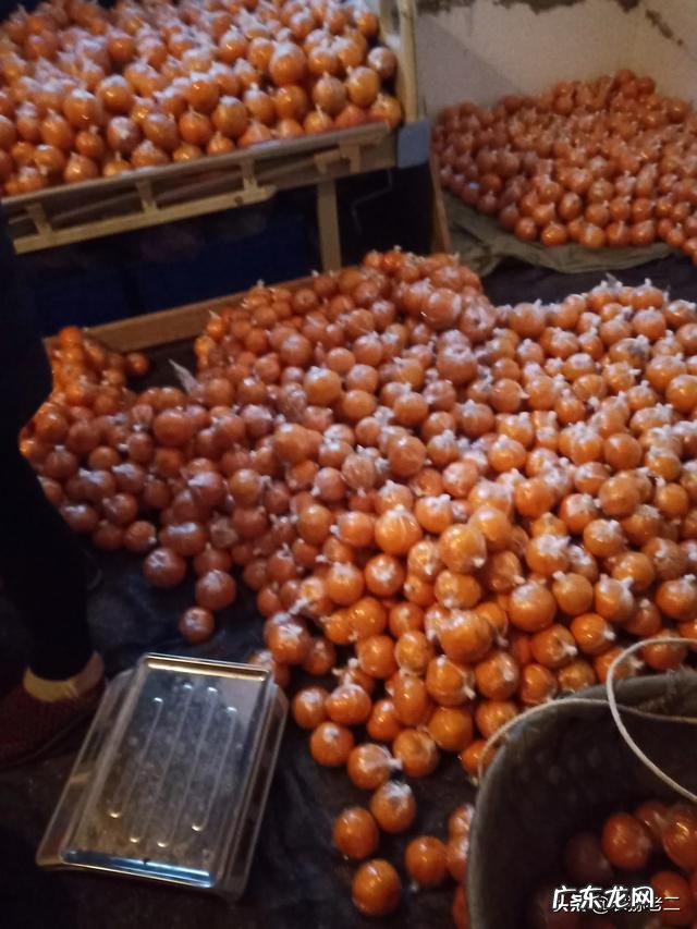 家乡的农作物主题活动? 家乡种田的农民的农作物如何打通销路?