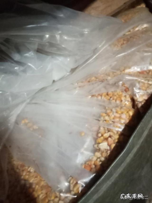 家乡的农作物主题活动? 家乡种田的农民的农作物如何打通销路?