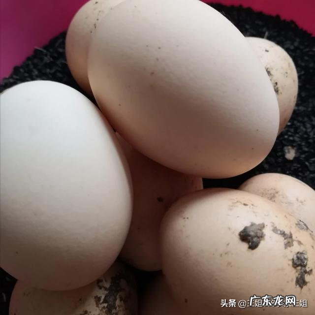 家乡的农作物主题活动? 家乡种田的农民的农作物如何打通销路?