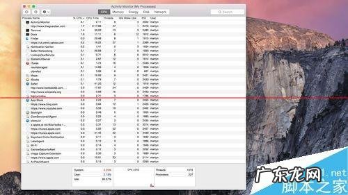 强制关闭全屏卡死程序? 苹果Mac系统中的应用程序怎么强制退出?