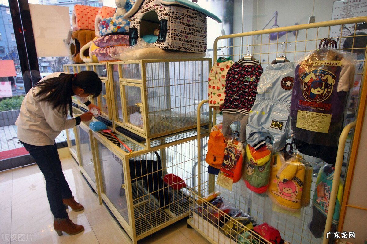 开宠物用品店进货渠道 开宠物用品店赚钱吗,宠物用品店利润怎么样