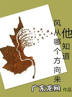 文笔好的虐心小说 有哪些文笔好的言情小说推荐？好看文笔好的小说推荐