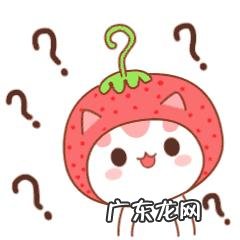 水费户号忘记了怎么查询 水费户号怎么查询,95598水费户号网上查询