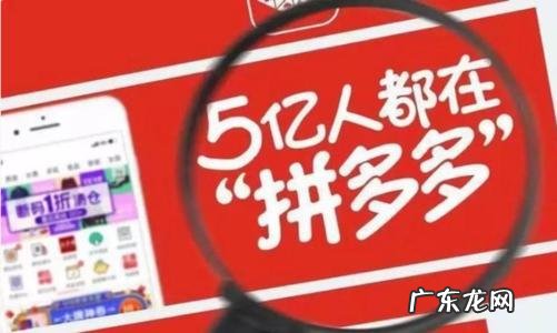 ?拼多多放单入会要多少?如何去刷单?