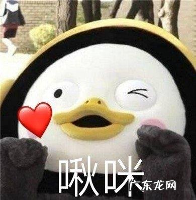 你手机里有哪些堪称神器的App？