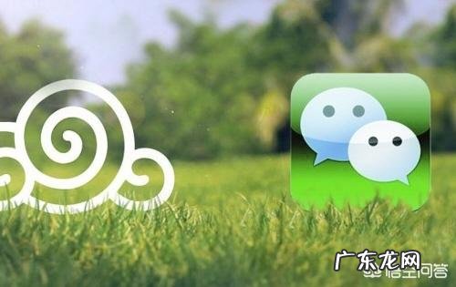 你手机里有几个APP 你手机上有哪些APP必不可少?你的手机app