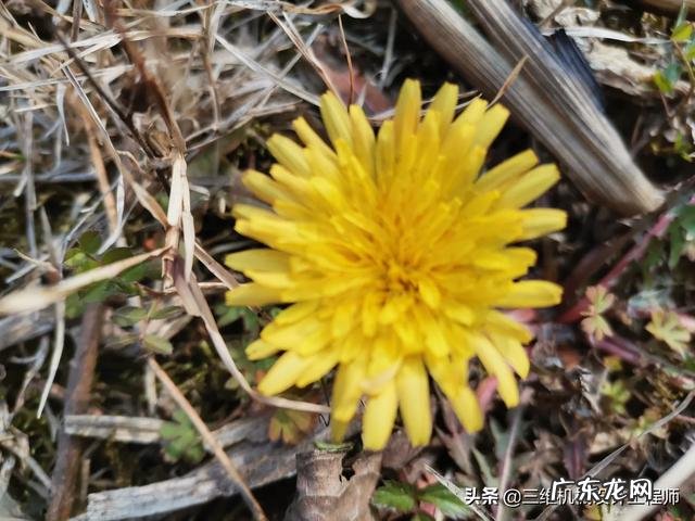 学生怎么投资赚钱 学生怎样赚钱?学生在校怎么赚钱