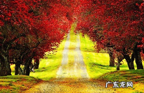 暖心语录经典简短 冬日暖心语录简短