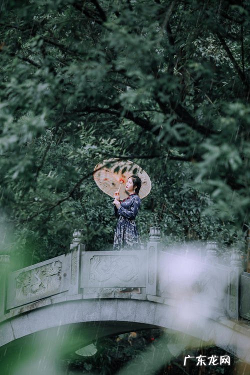 表达自己的心情的词语 用风来表达自己的心情