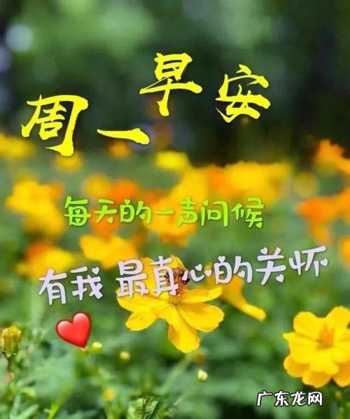 适合发朋友圈的感恩语老师 适合发朋友圈的感恩语