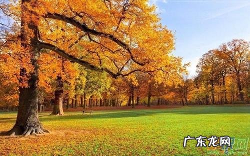 怎样写秋天的景色 关于秋天的描写