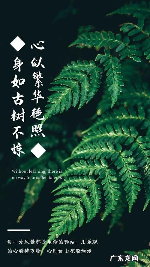 励志文案正能量治愈干净英文 励志文案正能量治愈干净