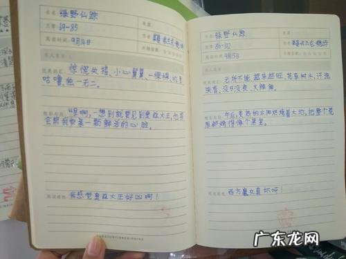 一件令我感动的事400 令我感动的一件事摘抄