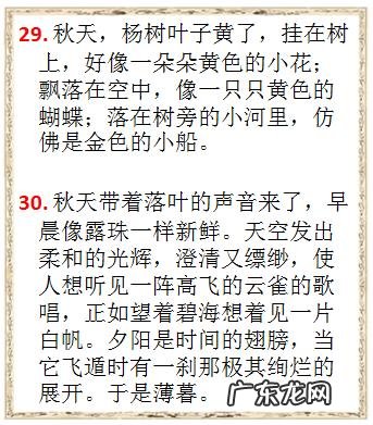 小学生描写夏天的短文 描写夏天的短文50字