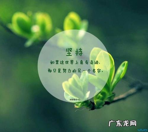 人生励志格言经典语录苏轼 人生励志格言经典语录