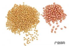 喝花生豆浆有哪些好处和坏处？