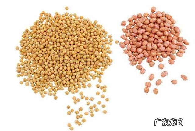 喝花生豆浆有哪些好处和坏处?