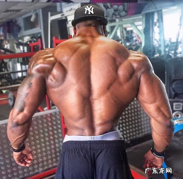 健身圈中的霸王背、虎背、圣诞树背和坦克背是怎么样的？