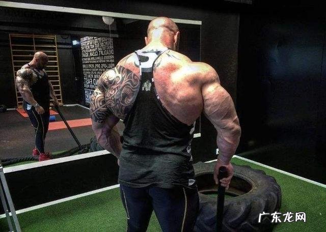 健身圈中的霸王背、虎背、圣诞树背和坦克背是怎么样的？