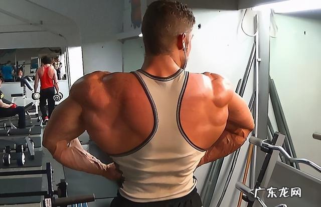 健身圈中的霸王背、虎背、圣诞树背和坦克背是怎么样的？
