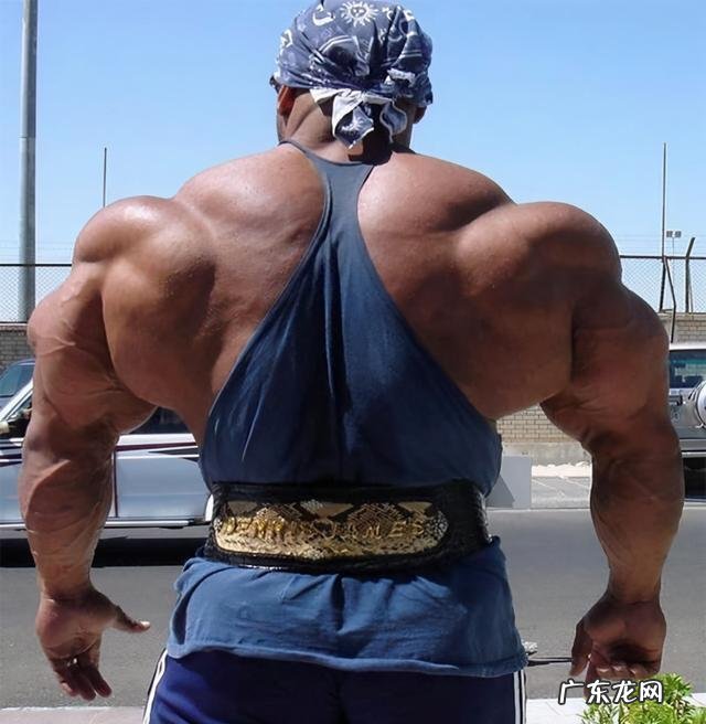 健身圈中的霸王背、虎背、圣诞树背和坦克背是怎么样的？