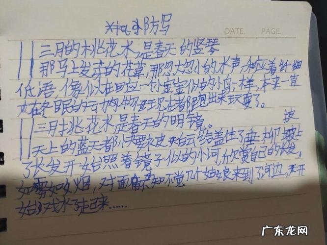 用风写一段话四年级 仿写风的一段话