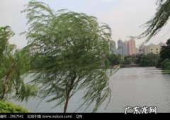 冬天的风怎么形容 风怎么吹的怎么形容