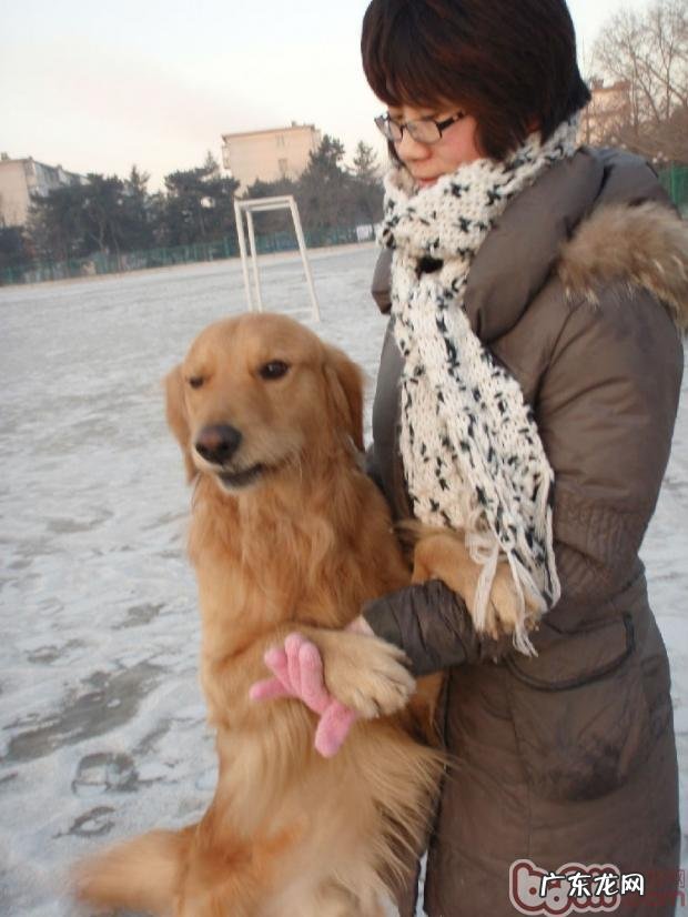 老年人猫与老年人狗——更必须大家的「爱」