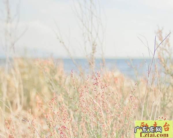 形容时间快的唯美段落 形容时间飞逝的唯美段落