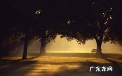 关于孤独的励志语录 孤独的语段