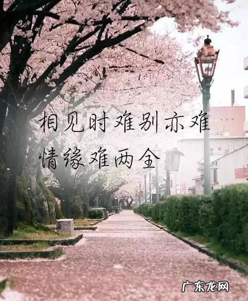 朋友圈心情专用配图高清 朋友圈心情专用配图