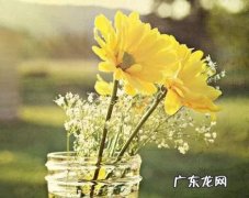 适合发朋友圈的图片配图 个性 适合发朋友圈的图片配图