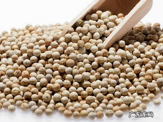 白胡椒蒸梨为什么不能用白胡椒粉